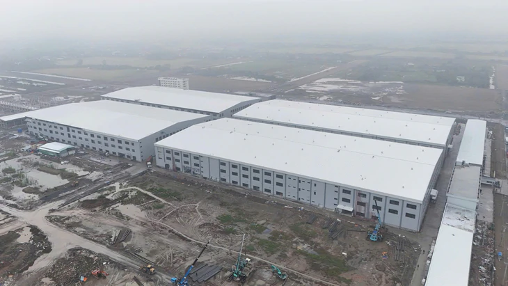 Miền Tây thiếu lao động 2026: Rèn tiếng Anh , Trung đón sóng nhà máy tự động hóa - Ảnh 1.