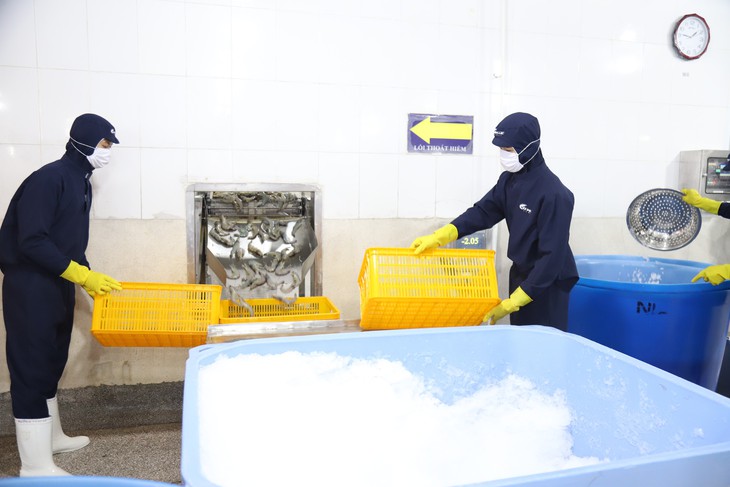 Miền Tây thiếu lao động - Kỳ 1: Doanh nghiệp đầu tư cho bài toán ‘giữ chân’ - Ảnh 3.