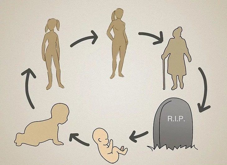 Nghiên cứu luân hồi và mối liên hệ kỳ lạ giữa cái chết và sự tái sinh - Ảnh 1.