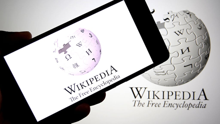 Wikipedia mất hơn 1 tỉ lượt truy cập vì AI - Ảnh 2.