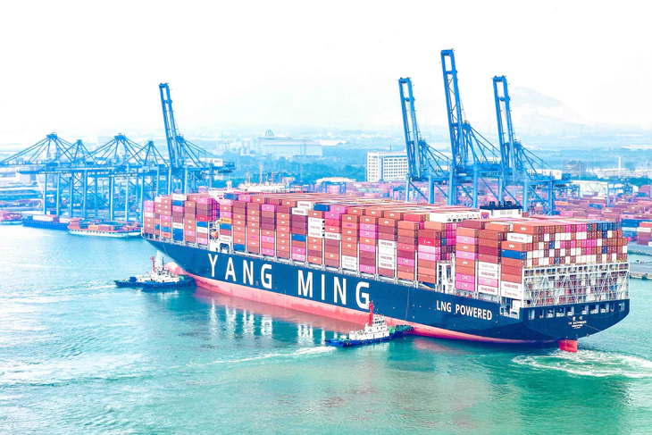 Cảng Cái Mép tăng cường kết nối với các hãng tàu quốc tế theo hướng vận tải biển xanh - Ảnh 1.