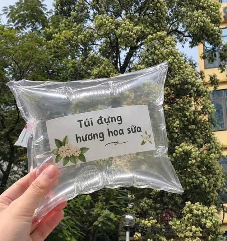 Tuần qua có gì: Hoa sữa, ‘Dự án ma’ gây sốt, Thừa Lỗi khiến hội chị em mê mệt - Ảnh 8.