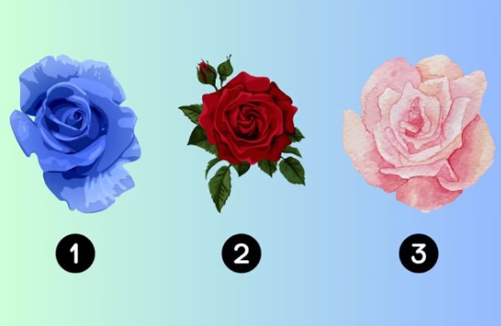 Quiz: Bạn đời lý tưởng của bạn có những phẩm chất gì? - Ảnh 1.