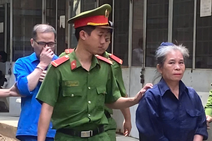 Làm gì để dẹp nạn luật sư giả? - Ảnh 1.