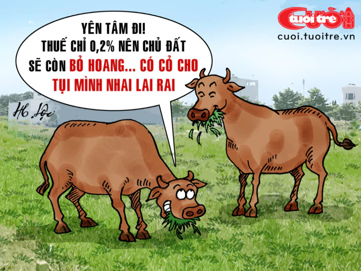 Thuế đất bỏ hoang 0,2%: Bò vẫn thong thả gặm cỏ - Ảnh 1.
