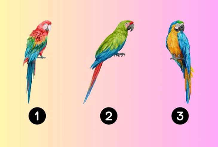Quiz: Bạn mơ mộng, sáng tạo hay ấm áp, chân thành? - Ảnh 1.