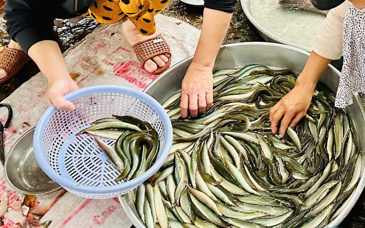 Thời tiết hôm nay 25-10: Cả nước ngày nắng, Nam Bộ đề phòng chiều tối có mưa - Ảnh 4.