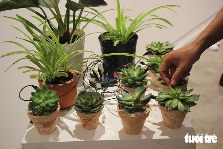 Đến triển lãm của nghệ sĩ Pháp, xem cây cối phát tín hiệu mở màn Tháng 11 Kỹ thuật số 2026 - Ảnh 2.