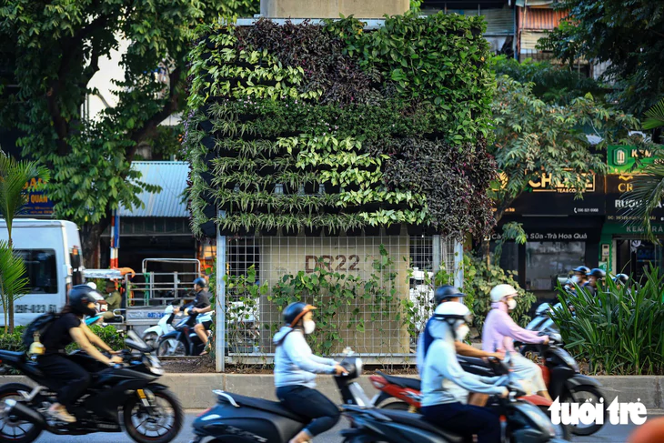 Hình ảnh trụ đường sắt đô thị, hầm chui ở Hà Nội bắt đầu được phủ xanh - Ảnh 1.