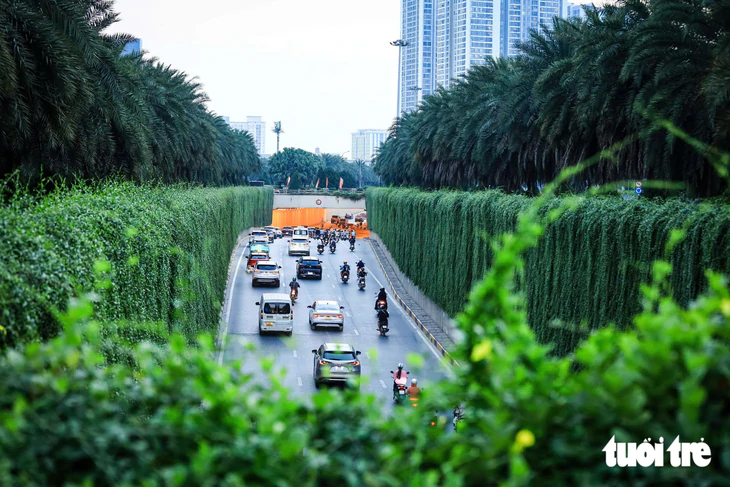 Hình ảnh trụ đường sắt đô thị, hầm chui ở Hà Nội bắt đầu được phủ xanh - Ảnh 9.