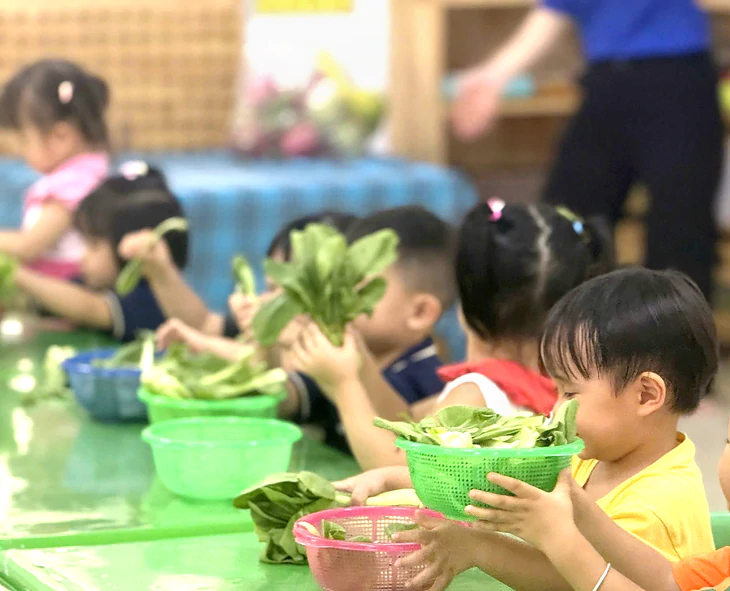 TP.HCM công bố danh sách cơ sở mầm non quá tải và bị giải thể - Ảnh 2.