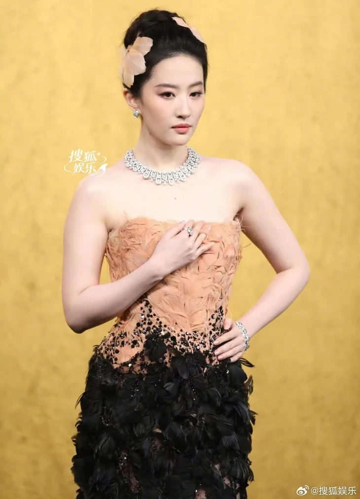 Lưu Diệc Phi - Ảnh 2.