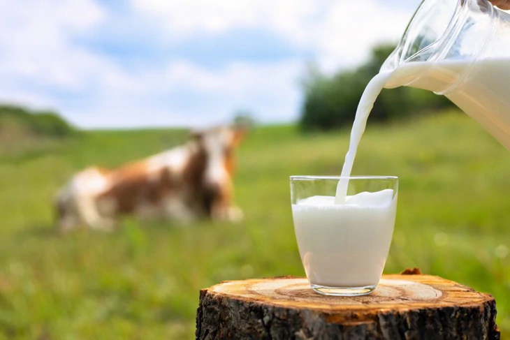 Sữa tươi mở nắp để được bao lâu? - Ảnh 1.