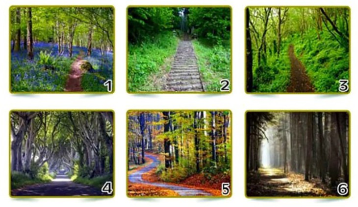 Quiz: Tính cách nổi bật nhất của bạn là gì? - Ảnh 1.