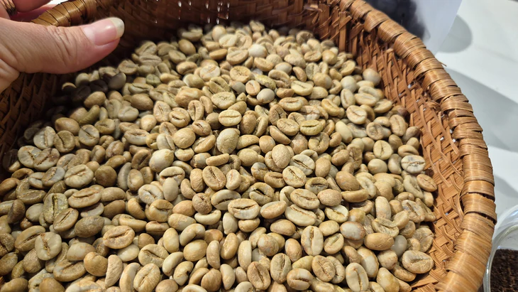 Robusta trong tuần: Giá nội địa mất mốc 90.000 đồng/kg, nông dân ít bán sớm - Ảnh 4.