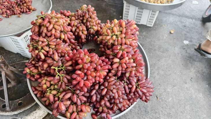 Giá cả đầu ngày: Tiểu thương chỉ cách phân biệt nho Ninh Thuận và nho Trung Quốc, giá cá tra nhích lên - Ảnh 2.