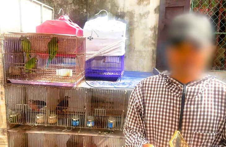 Buôn bán 36 con chim hoang dã, người đàn ông ở Ninh Bình bị khởi tố - Ảnh 2.