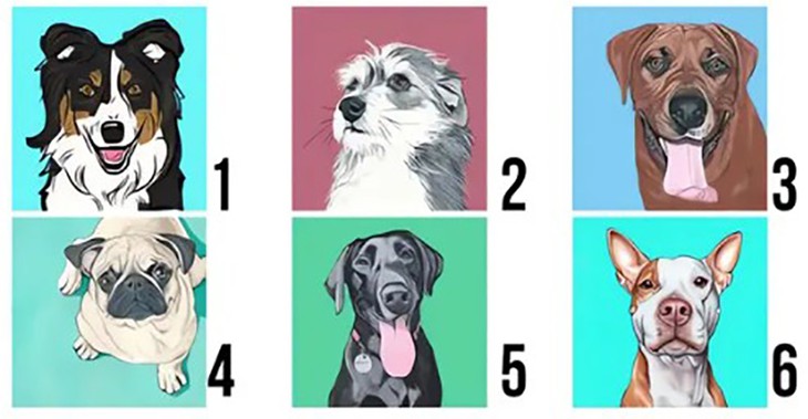 Quiz: Bạn là người như thế nào? - Ảnh 1.