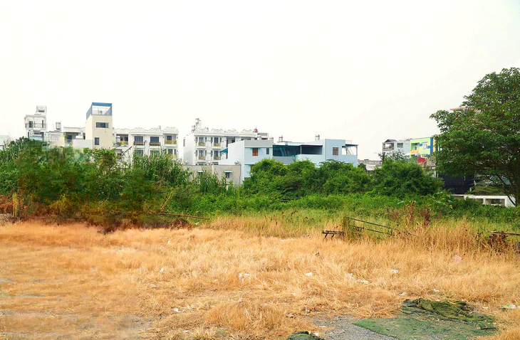 Để đất trống do vướng quy hoạch, đất để dành cho con có bị xem bỏ hoang, phải đánh thuế? - Ảnh 3.