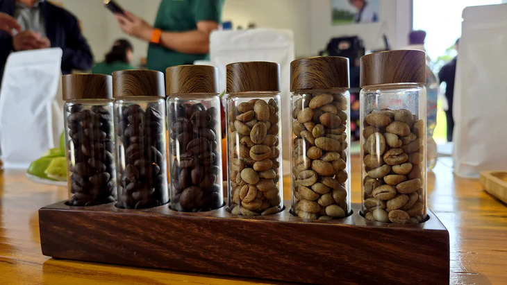 Robusta trong tuần: Giá nội địa mất mốc 90.000 đồng/kg, nông dân ít bán sớm - Ảnh 2.