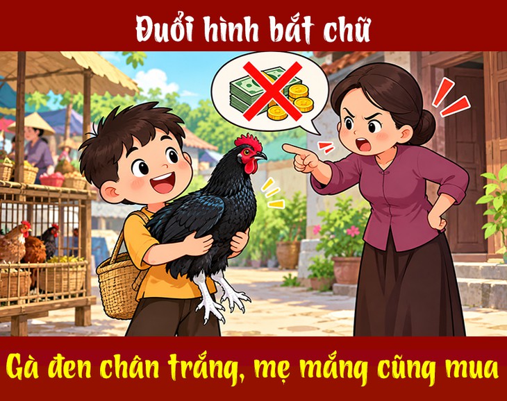 Câu tục ngữ 'khó nhằn' này là gì? (P3) - Ảnh 1.