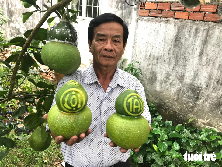 Bưởi hồ lô Tài Lộc giá đến 1 triệu đồng/trái vẫn lo thiếu hàng Tết - Ảnh 1.