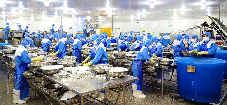 Miền Tây thiếu lao động - Kỳ 4: Tôi ở lại nếu quê nhà có nhiều nhà máy - Ảnh 2.