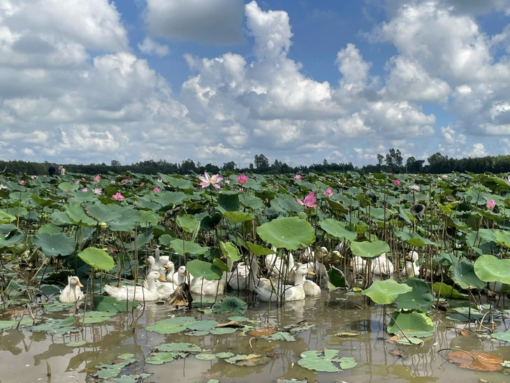 Biến phục hồi hệ sinh thái thành cơ hội làm giàu cho nông dân - Ảnh 2.