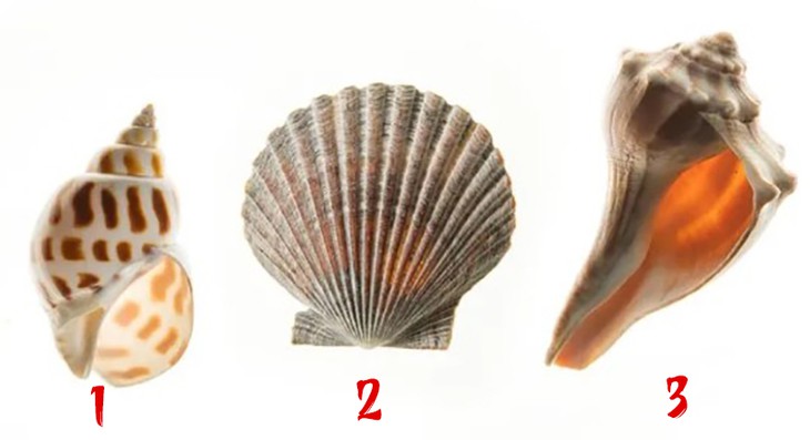 Quiz: Điểm yếu lớn nhất của bạn là gì? - Ảnh 1.