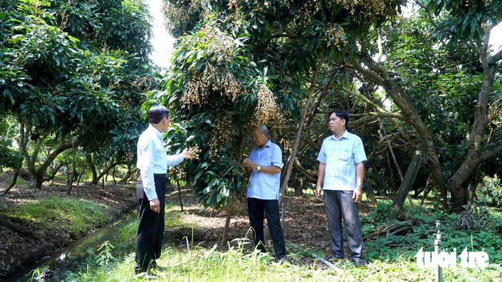 Trồng nhãn xuất khẩu, nuôi ong lấy mật thu nhập tăng thêm hàng trăm triệu mỗi năm - Ảnh 1.
