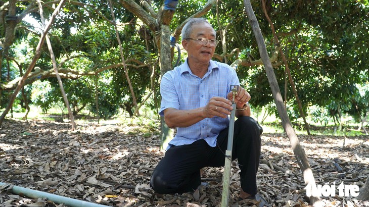 Trồng nhãn xuất khẩu, nuôi ong lấy mật thu nhập tăng thêm hàng trăm triệu mỗi năm - Ảnh 4.