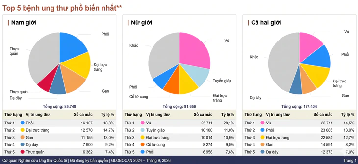 5 loại ung thư người Việt mắc phải nhiều nhất: Ung thư vú dẫn đầu, tiếp theo là gì? - Ảnh 1.
