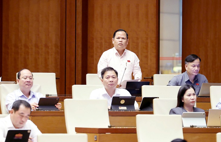 Đại biểu Quốc hội kiến nghị chính sách phát triển nhà ở phù hợp khả năng chi trả của người dân - Ảnh 1.