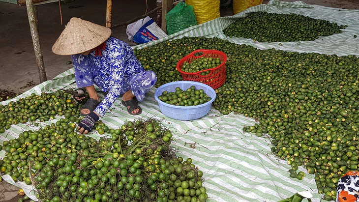 Giá cả đầu ngày: - Ảnh 1.