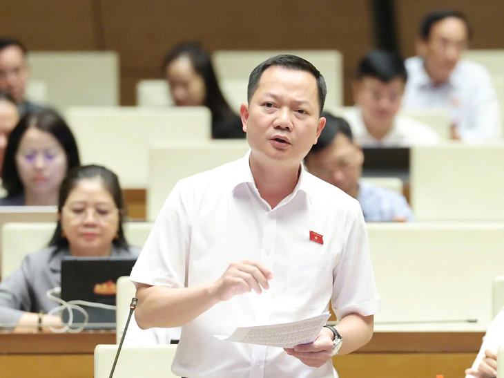 Từ vi phạm của Mường Thanh, đại biểu Quốc hội: Không thể yêu cầu người dân tự kiểm tra hồ sơ - Ảnh 1.