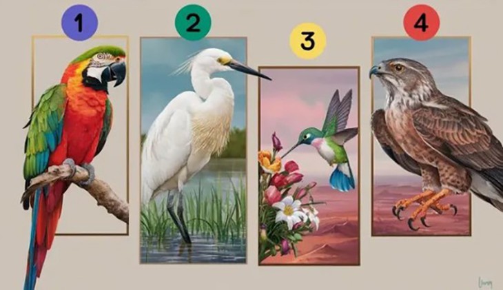 Quiz: Đâu là phẩm chất nổi bật nhất của bạn? - Ảnh 1.