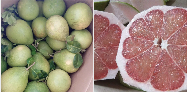 Giá cả đầu ngày: Cá heo nuôi sốt giá 500.000 đồng/kg ở chợ Miền Tây - Ảnh 2.