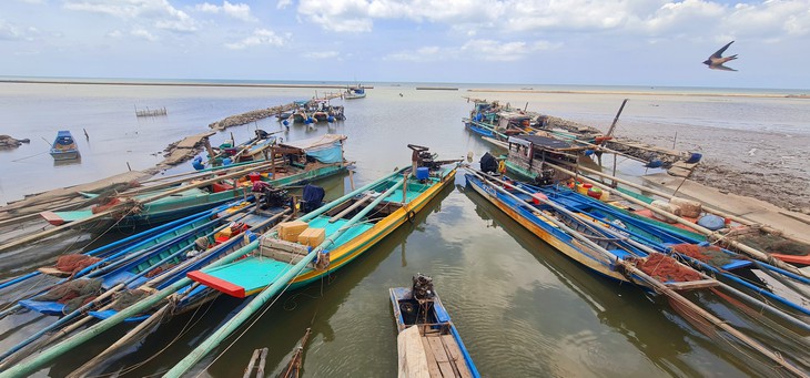 Theo dòng Mekong, 'lời nguyền con rồng' và câu chuyện phát triển - Bài 1: Nơi dòng sông gặp biển - Ảnh 5.