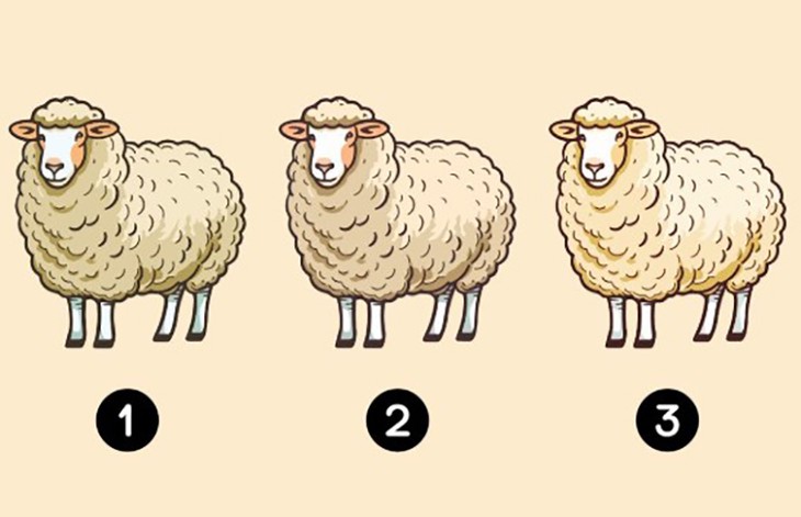 Quiz: Điều gì khiến bạn bất an? - Ảnh 1.