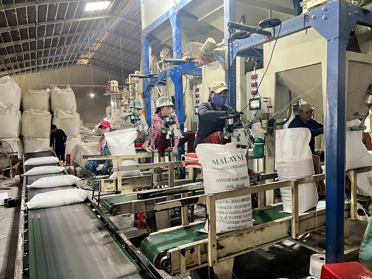 Doanh nghiệp xuất khẩu gạo được giảm điều kiện, bỏ lệ phí, rút thời gian cấp giấy - Ảnh 2.