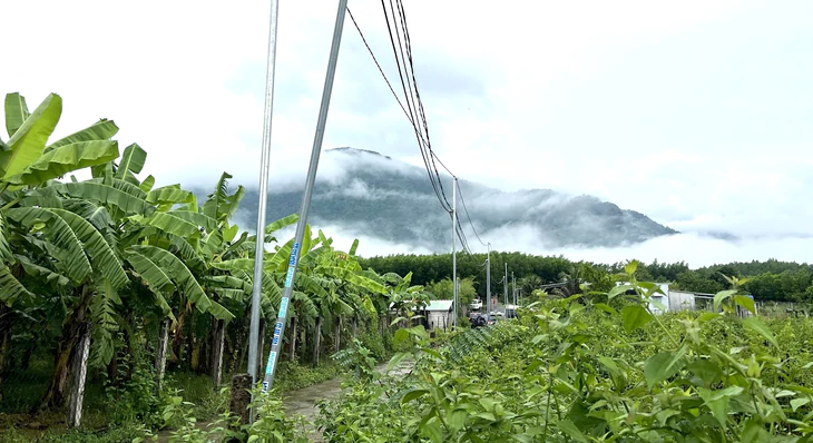 Núi Hòn Dữ nơi truy bắt 2 phạm nhân trốn trại A2 rất hiểm trở - Ảnh 2.