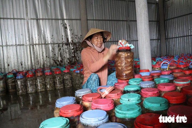 Mắm cá lóc đồng miền Tây - hương vị đặc trưng được yêu thích Năm 2026 - Ảnh 7.