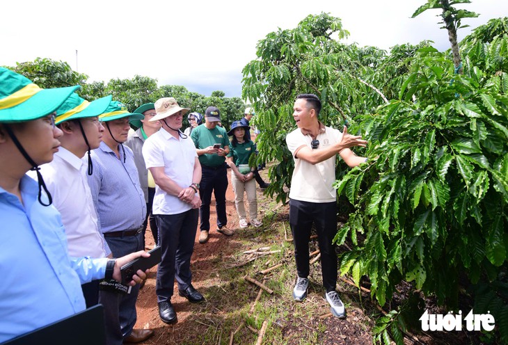 Lâm Đồng có Hội Người sản xuất cà phê bền vững - Ảnh 1.