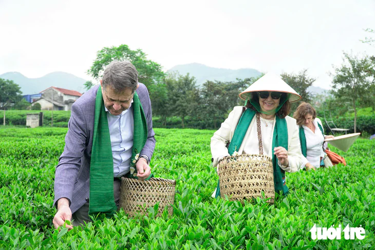 Đưa trà Thái Nguyên thành Di sản văn hóa thế giới - Ảnh 2.