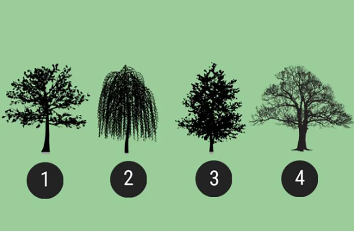 Quiz: Cuộc đời bạn đang ở giai đoạn nào? - Ảnh 1.