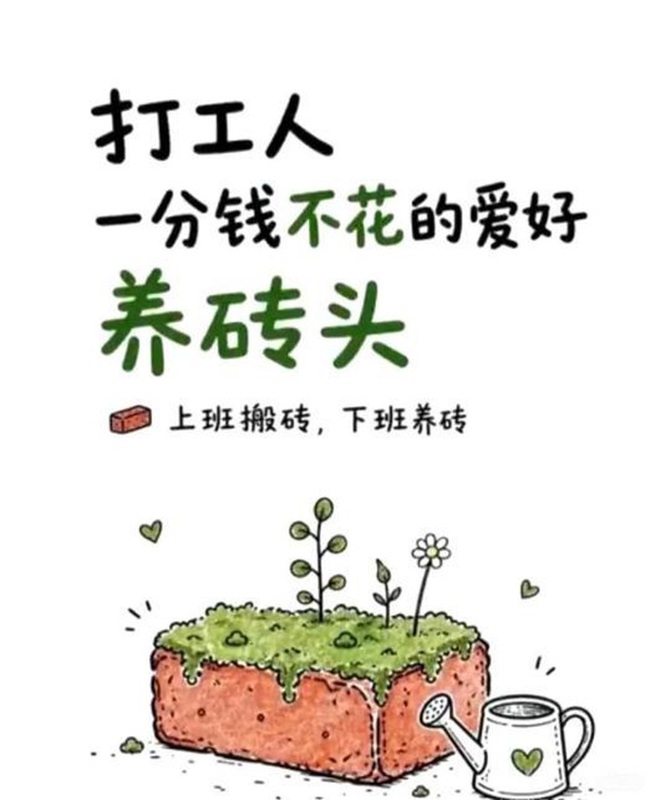 Rộ mốt đi nuôi... cục gạch - Ảnh 3.