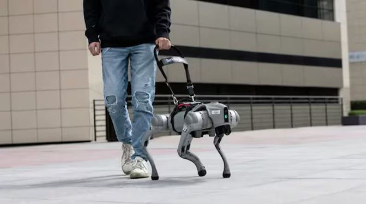 Công ty này đang tuyển người dắt chó robot đi dạo, lương lên đến 3 triệu/ca - Ảnh 2.