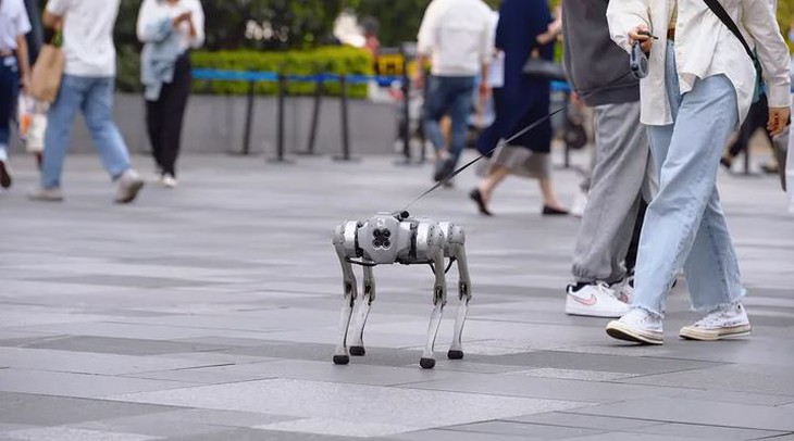 Công ty này đang tuyển người dắt chó robot đi dạo, lương lên đến 3 triệu/ca - Ảnh 1.