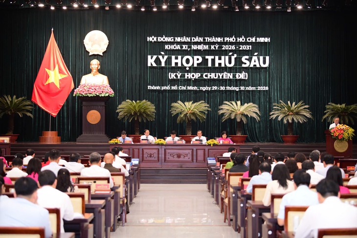 Đề nghị làm rõ cơ sở dự báo dân số TP.HCM đạt 18 triệu dân vào 2030 - Ảnh 1.