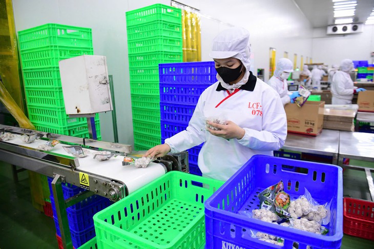 Từ năm 2027, doanh nghiệp tự công bố xuất xứ hàng Việt, không cần xin chứng nhận   - Ảnh 1.